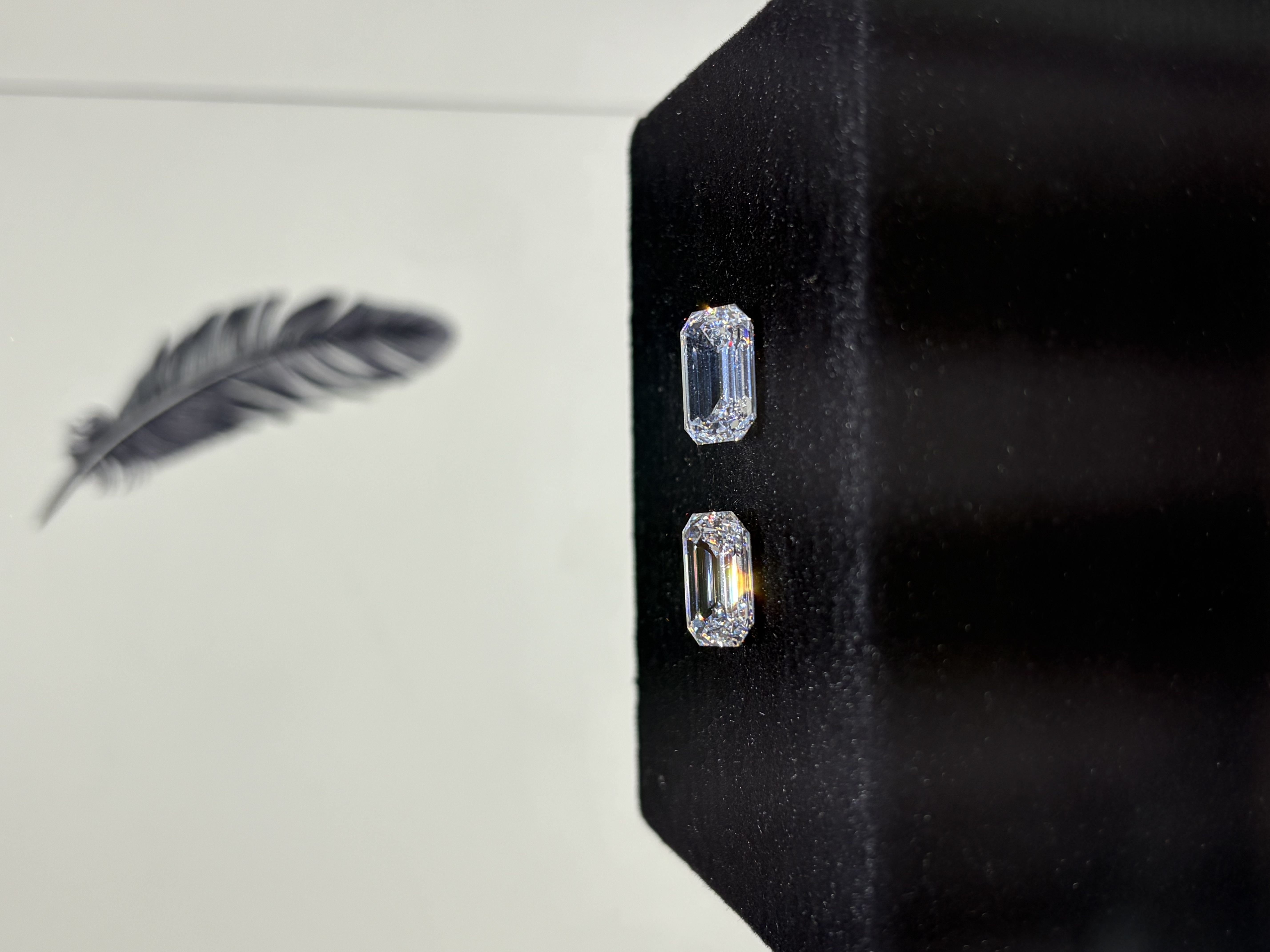 Two emerald cut diamonds